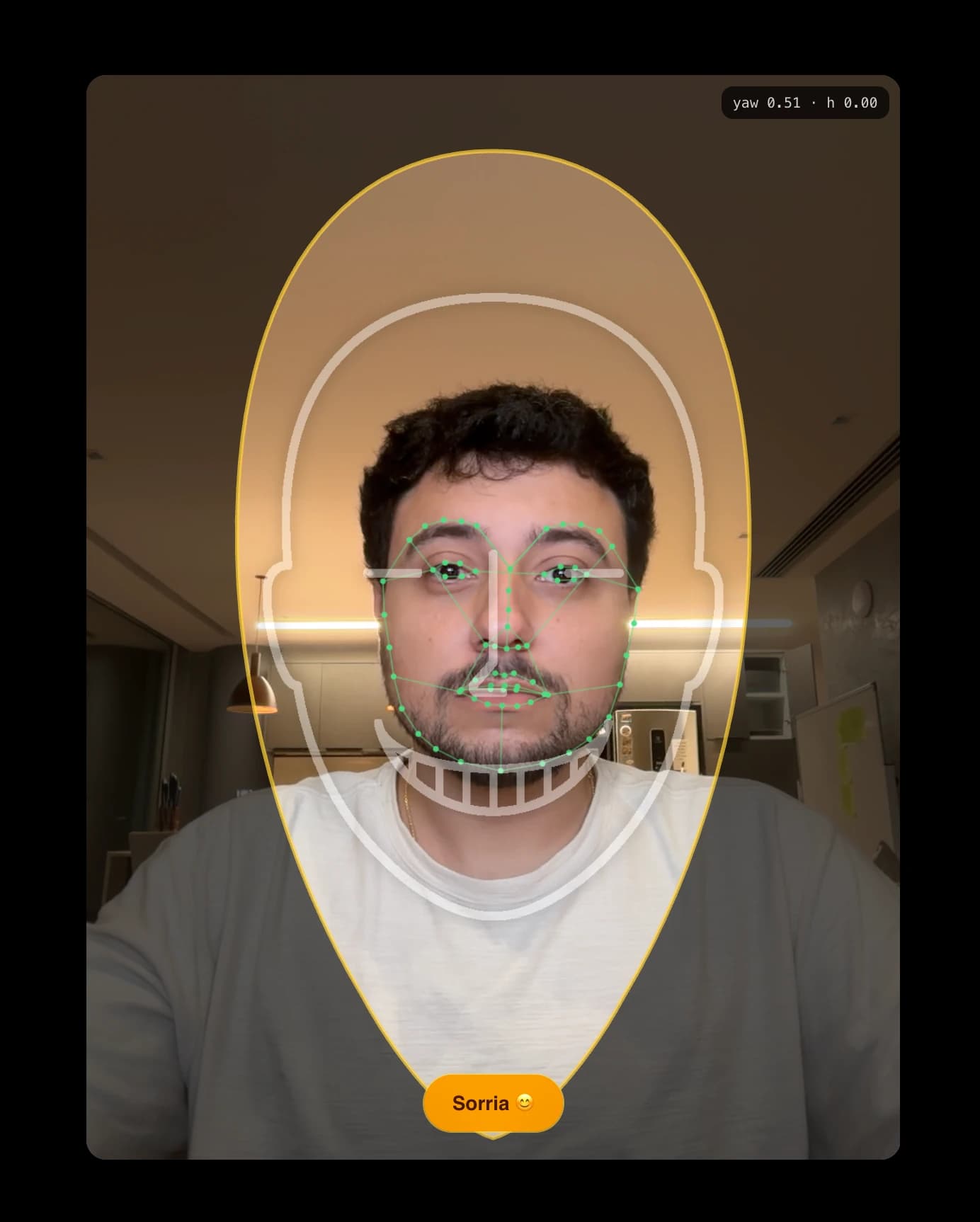 Exemplo da captura guiada de selfies